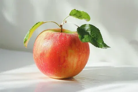 Hero showcase image 3